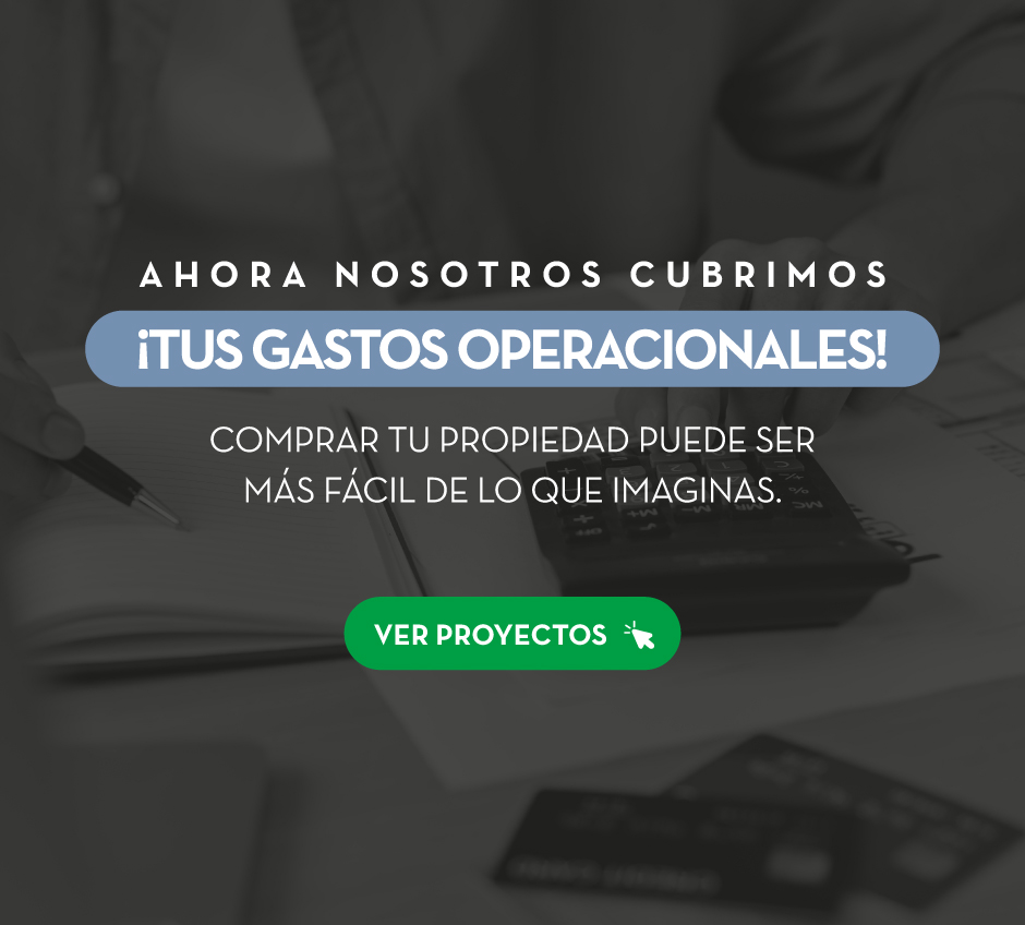 Ver Proyectos